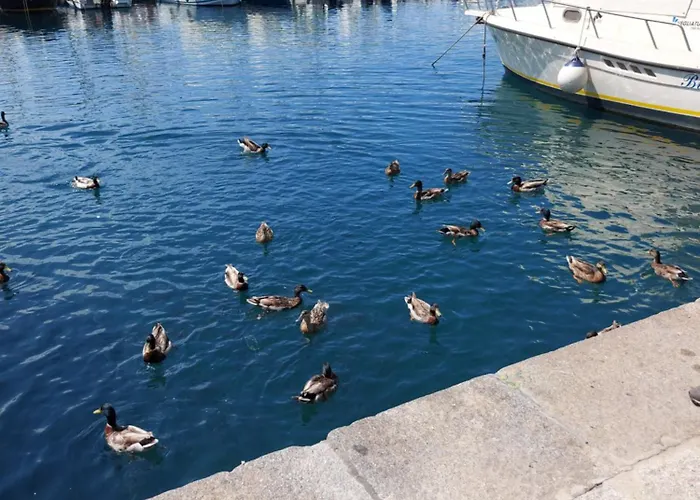 Con 2 Terrazze A 300 Mt Dal Centro Porto Azzurro