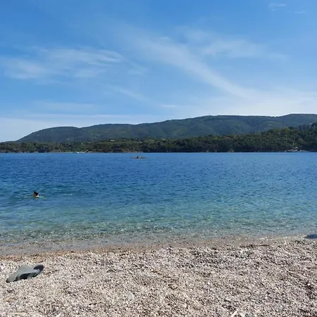 Con 2 Terrazze A 300 Mt Dal Centro *