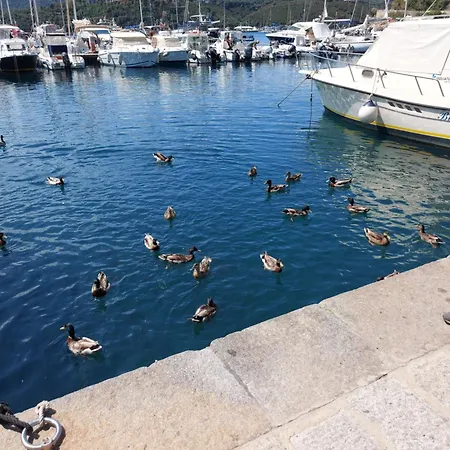 Con 2 Terrazze A 300 Mt Dal Centro Porto Azzurro